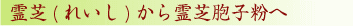 霊芝胞子粉 霊芝胞子粉